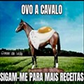 jan_ovo a cavalo.jpg